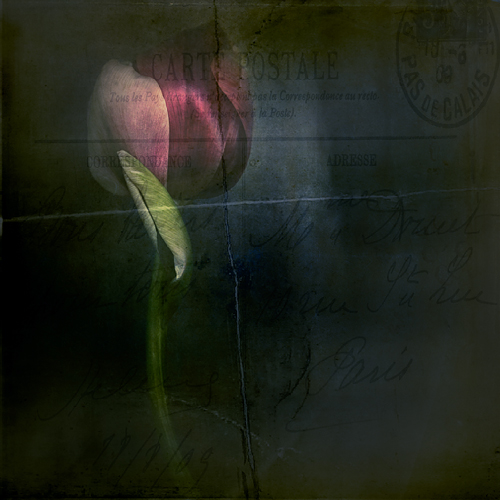 some love notes.1034.500